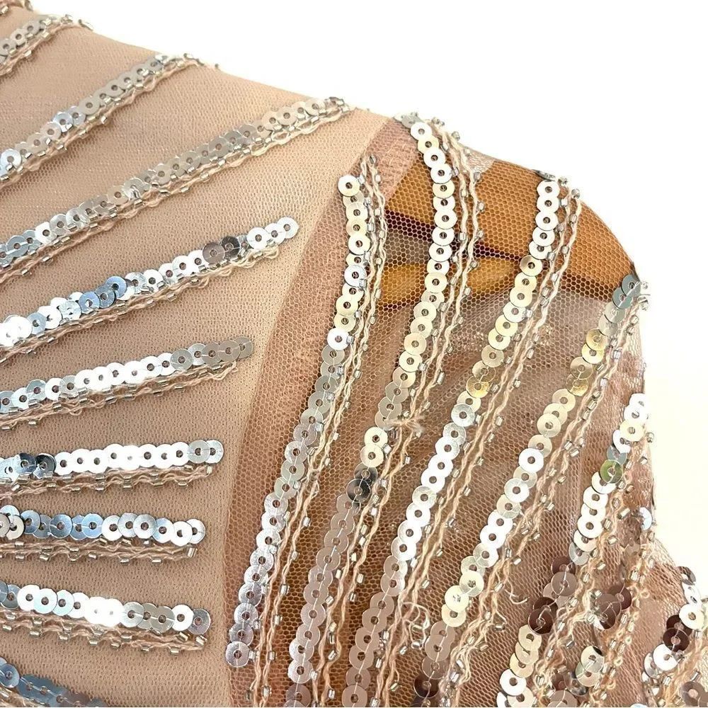 RAGA Mason Character Long Sleeve Dress Size XS Champagne with Silver Sequins NWT - Picture 6 of 9